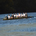 Novice Men 8